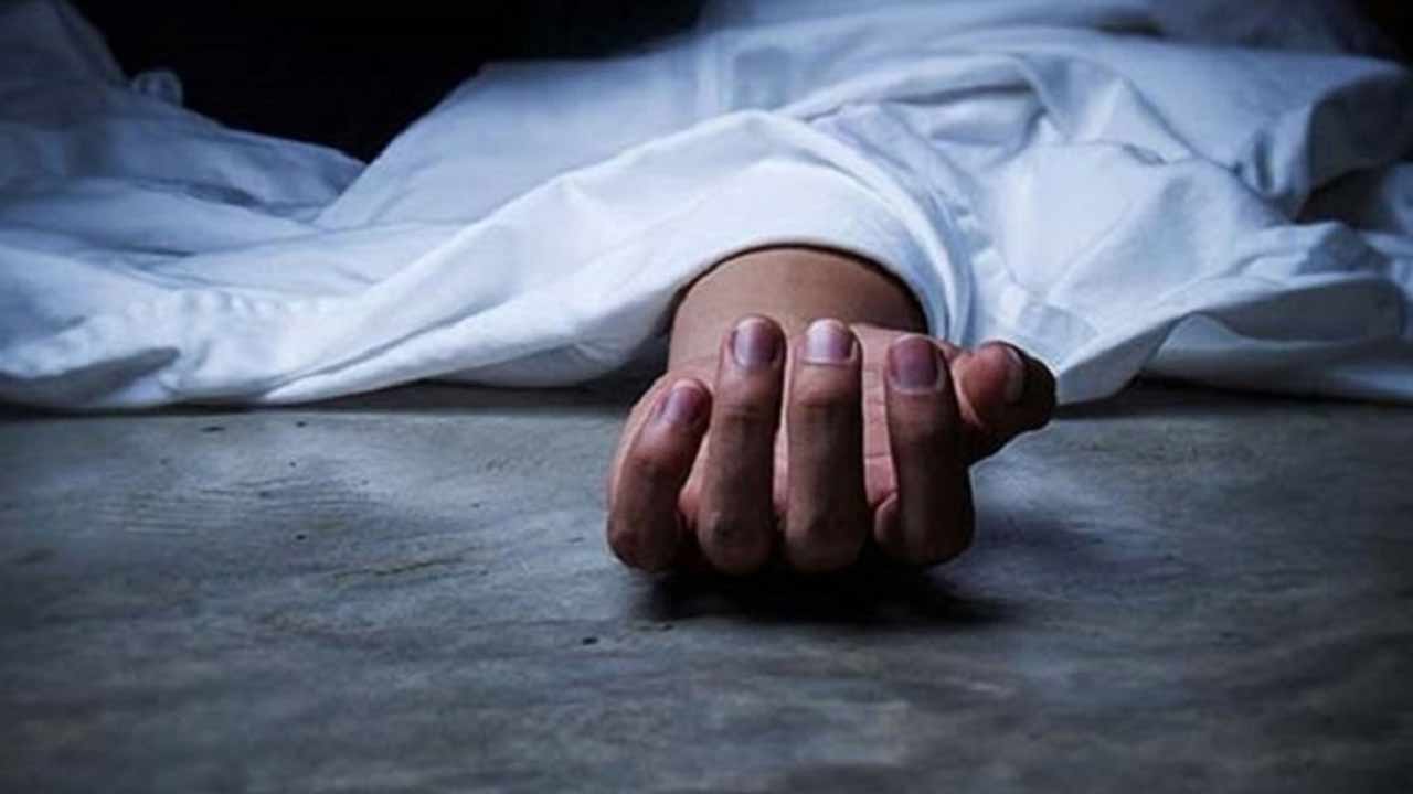 ফাইল ছবি