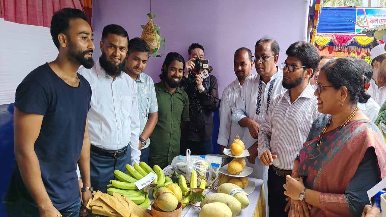 ছবি দেশ টিভি