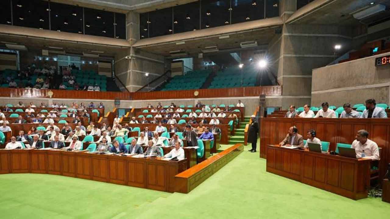 গ্রামে বিদ্যুৎ সংকট আমাদের বিব্রত করে: সংসদে বিএনপির এমপি
