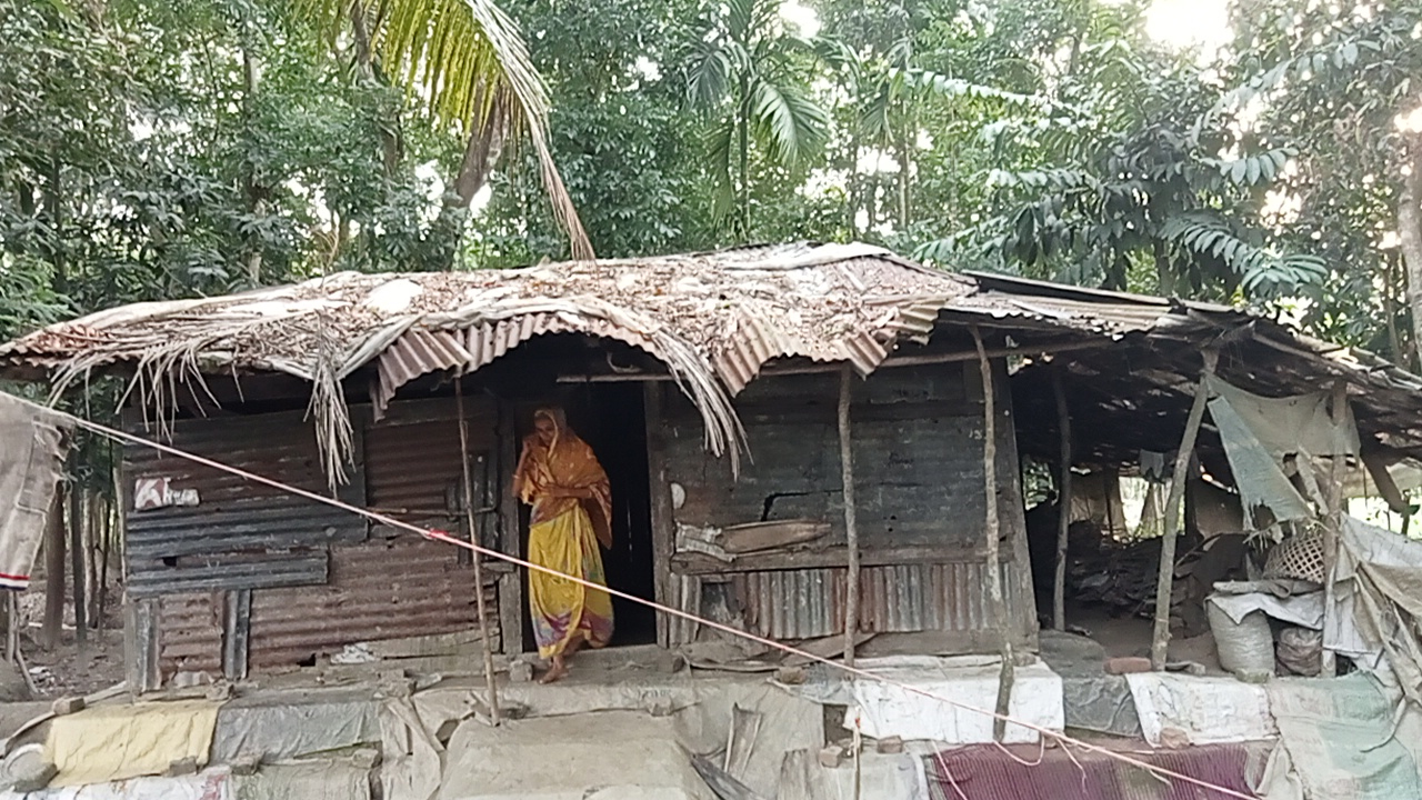 মেঘ দেখলেই প্রতিবেশীর ঘরে আশ্রয়, ভাঙাচোরা ঘরে মানবেতর জীবন ডালিম বেগমের