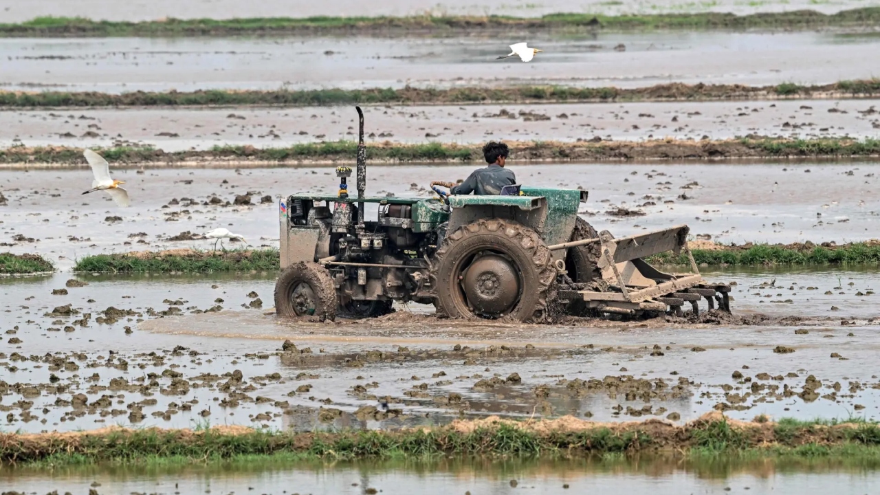 পাকিস্তানের প্রবৃদ্ধির পূর্বাভাস কমাল এডিবি