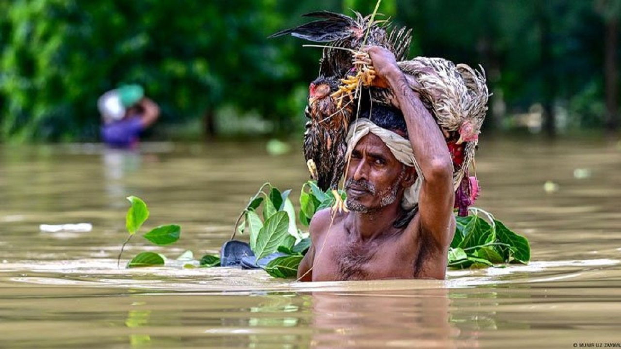 ৭ জেলায় বন্যা, প্রাণহানি বেড়ে ৪৪