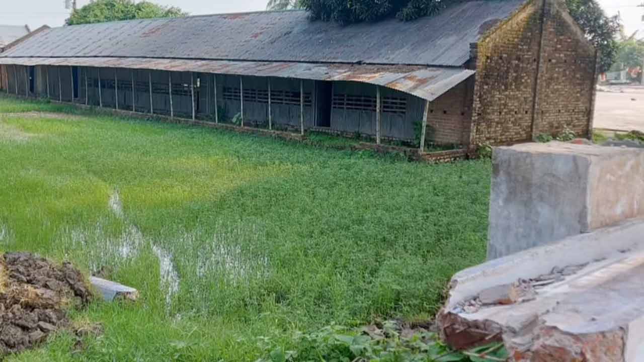 ছবি: দেশ টিভি