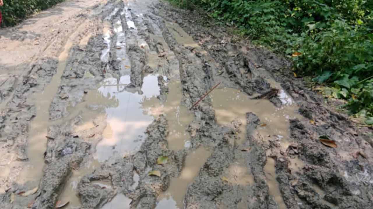 ছবি: দেশ টিভি