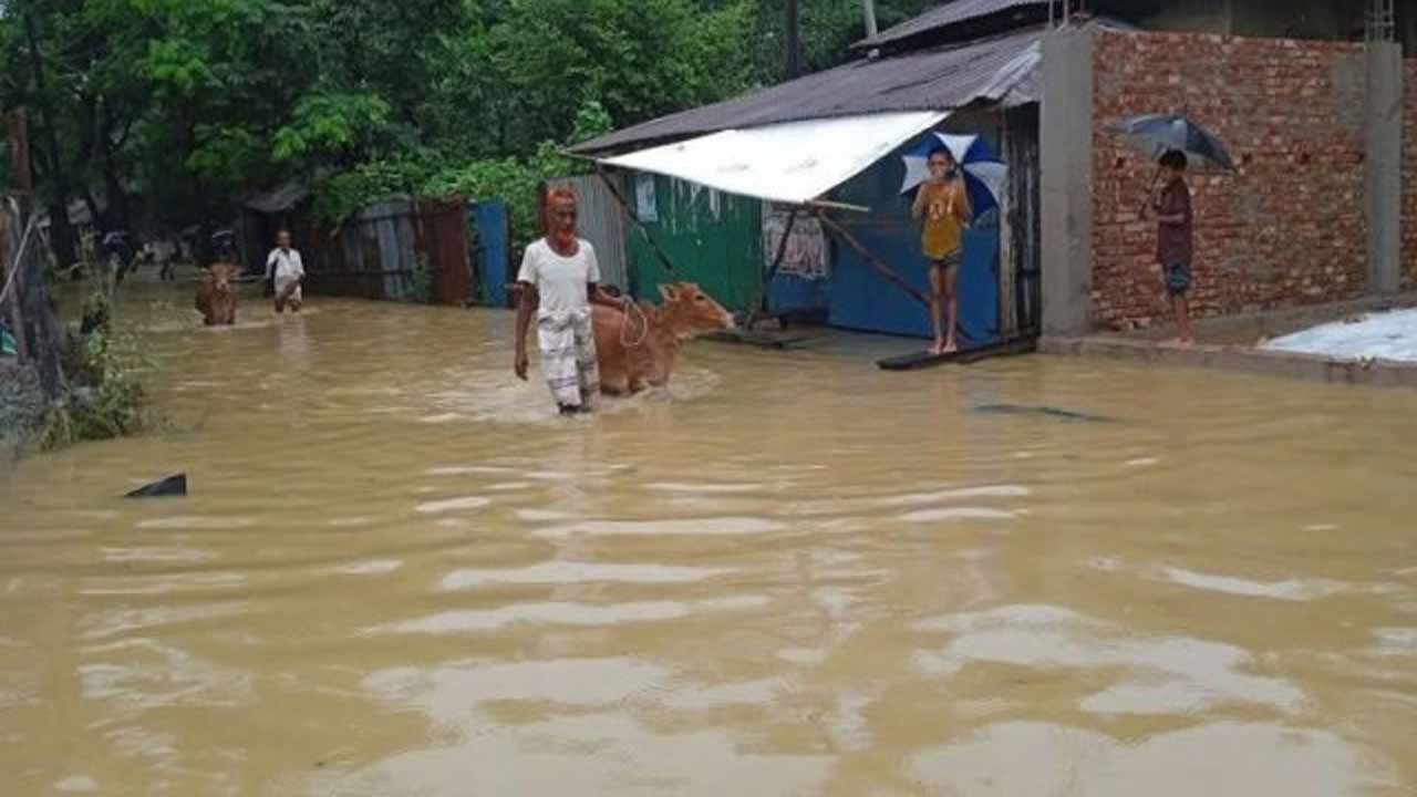 সংগৃহীত
