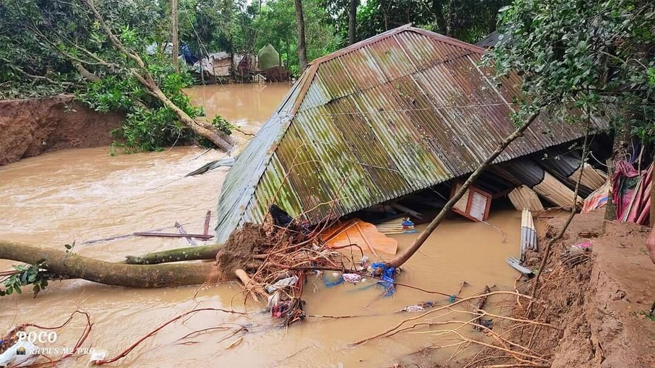 সংগৃহীত ছবি