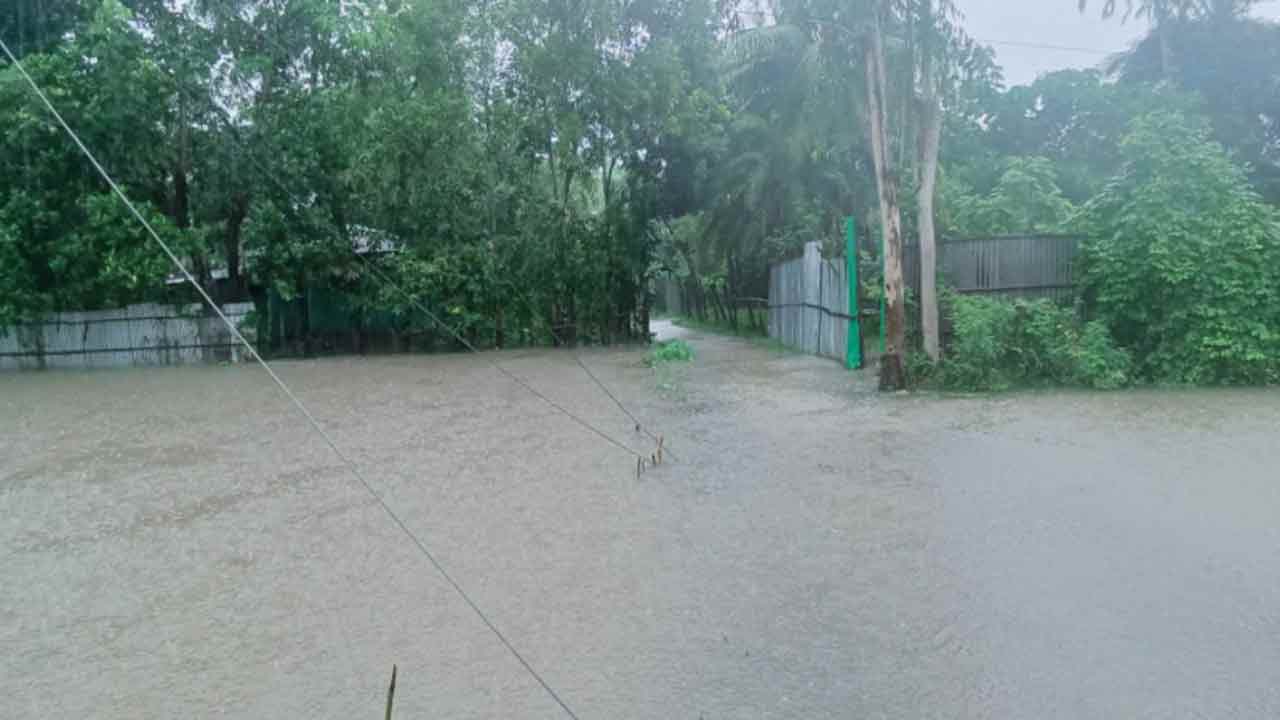 ছবি: দেশ টিভি