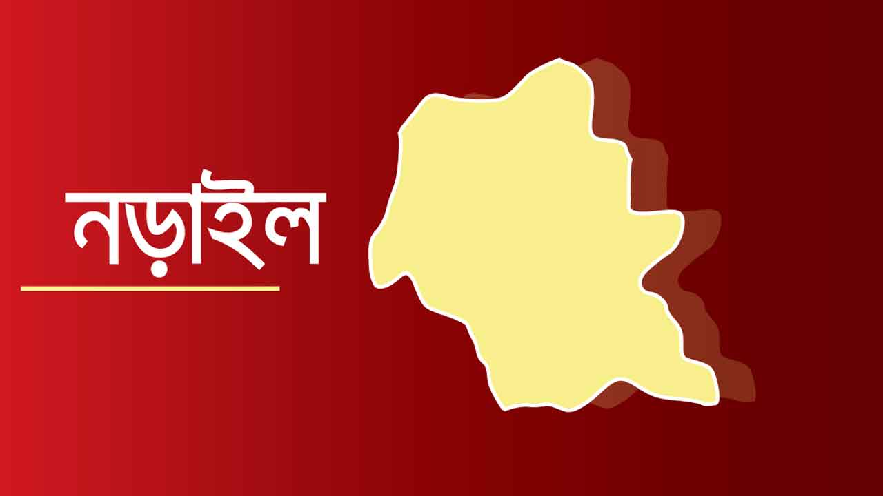 ফাইল ছবি