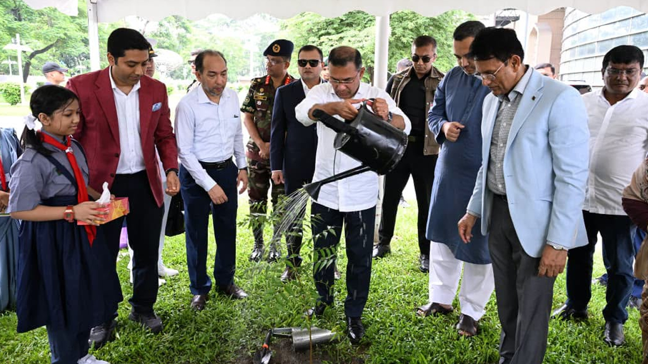 দেশটাকে আরও সবুজ করে গড়ে তুলতে হবে: প্রধানমন্ত্রী