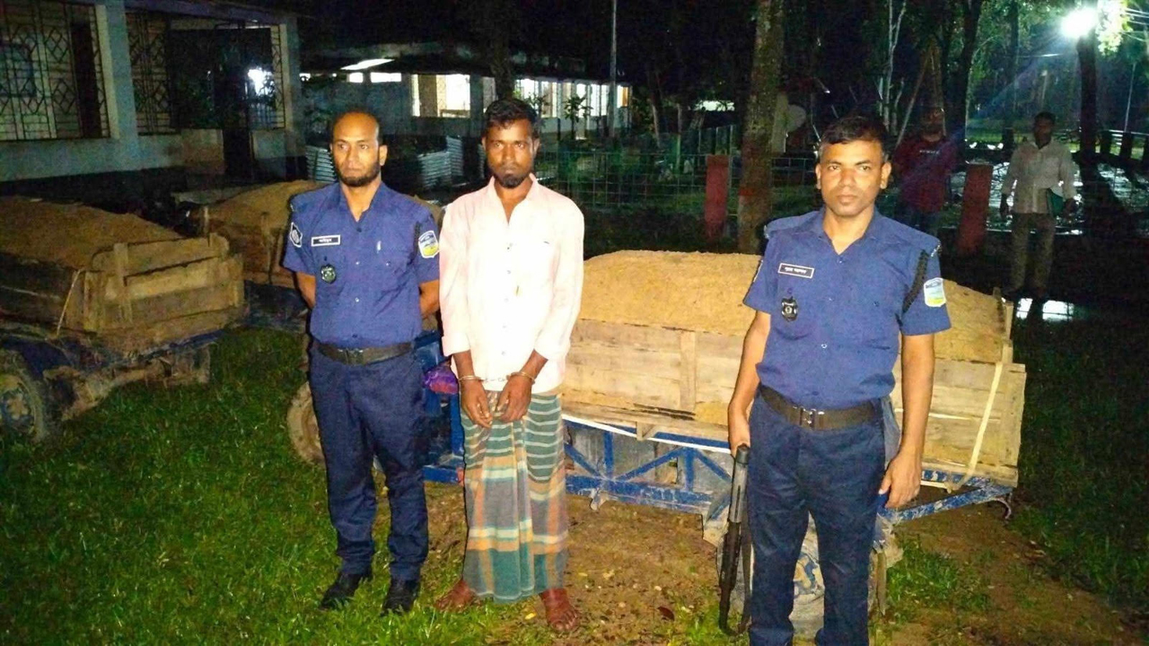 সংগৃহীত
