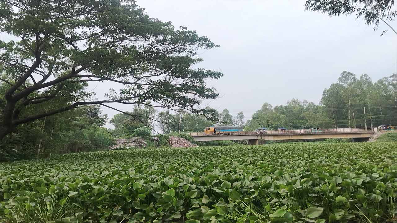 দেশ টিভি