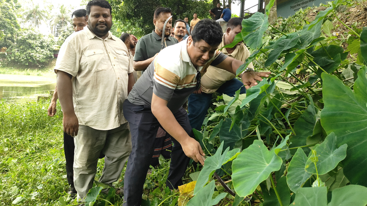 কামারখন্দ উপজেলা বিএনপির পরিষ্কার-পরিচ্ছন্নতা অভিযান