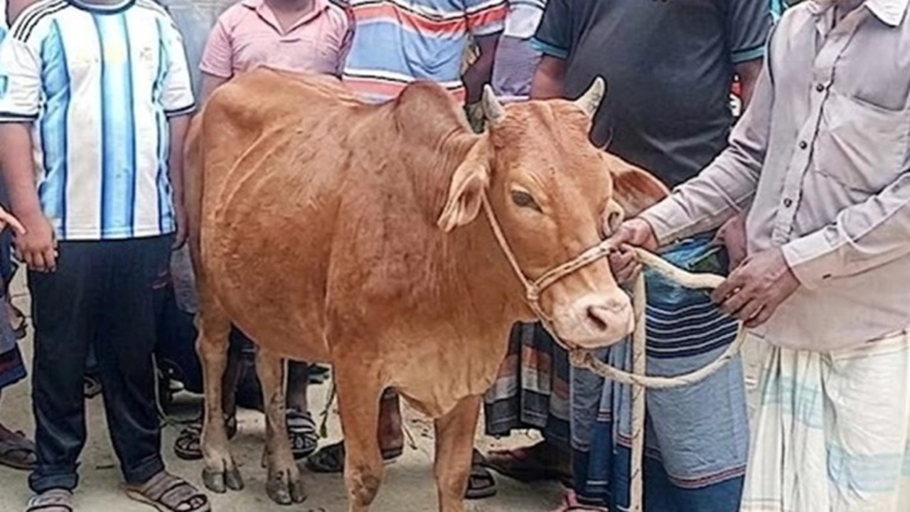 ছবি: দেশ টিভি