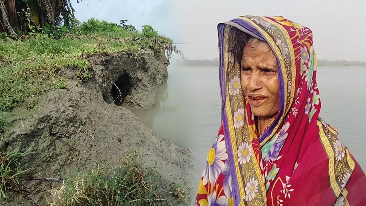 মাকসুদা বেগম ও নদী ভাঙ্গন চিত্র। ছবি: দেশ টিভি