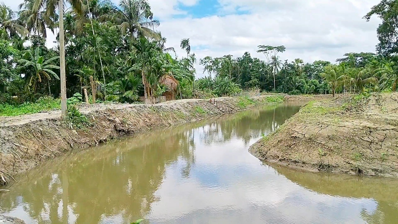 ছবি: দেশ টিভি