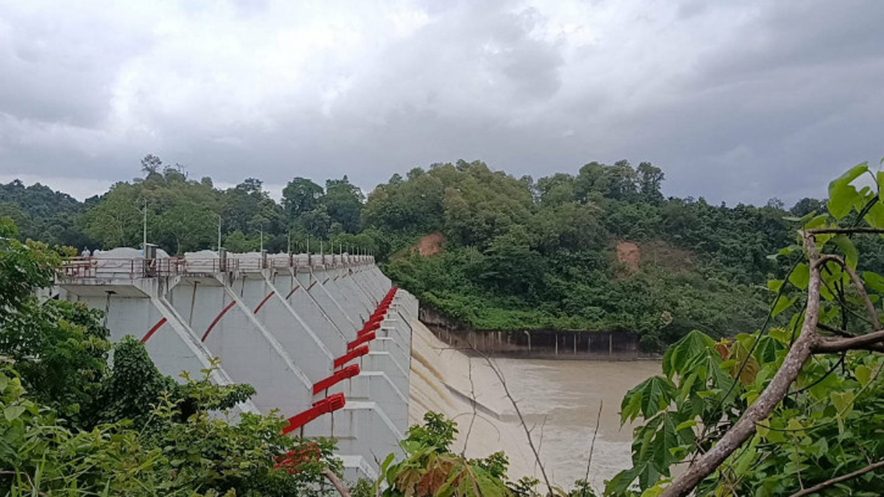 সংগৃহীত