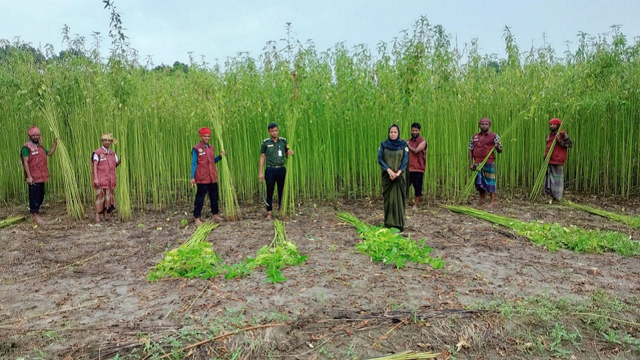 ছবি দেশ টিভি