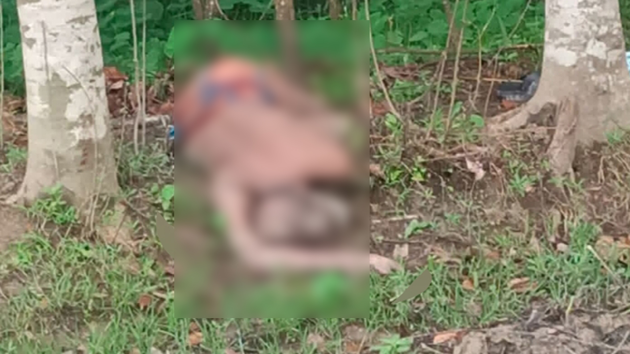 পটুয়াখালীতে নিখোঁজের একদিন পর বৃদ্ধের মরদেহ উদ্ধার