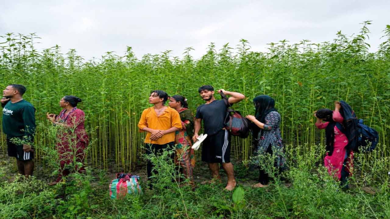 দেশ টিভি