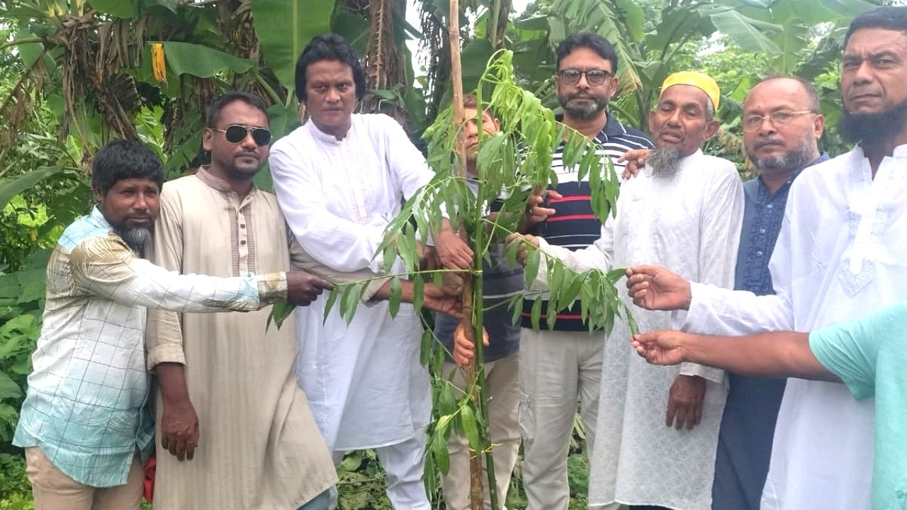 ছবি: দেশ টিভি