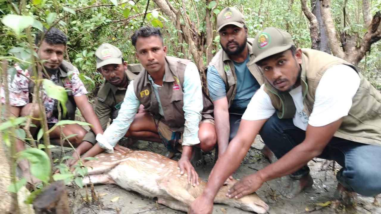 ছবি দেশ টিভি