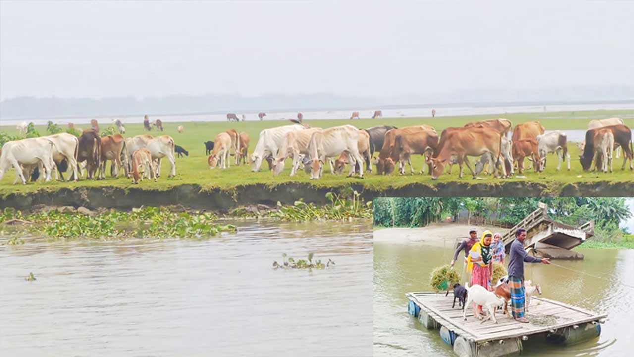 সংগৃহীত