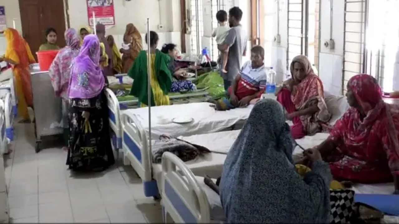 সংগৃহীত