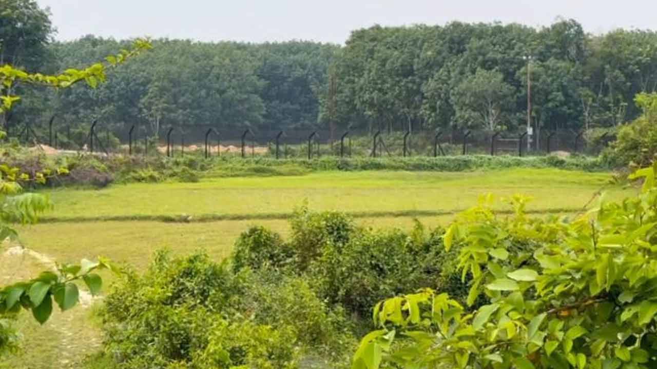 ছবি: দেশ টিভি