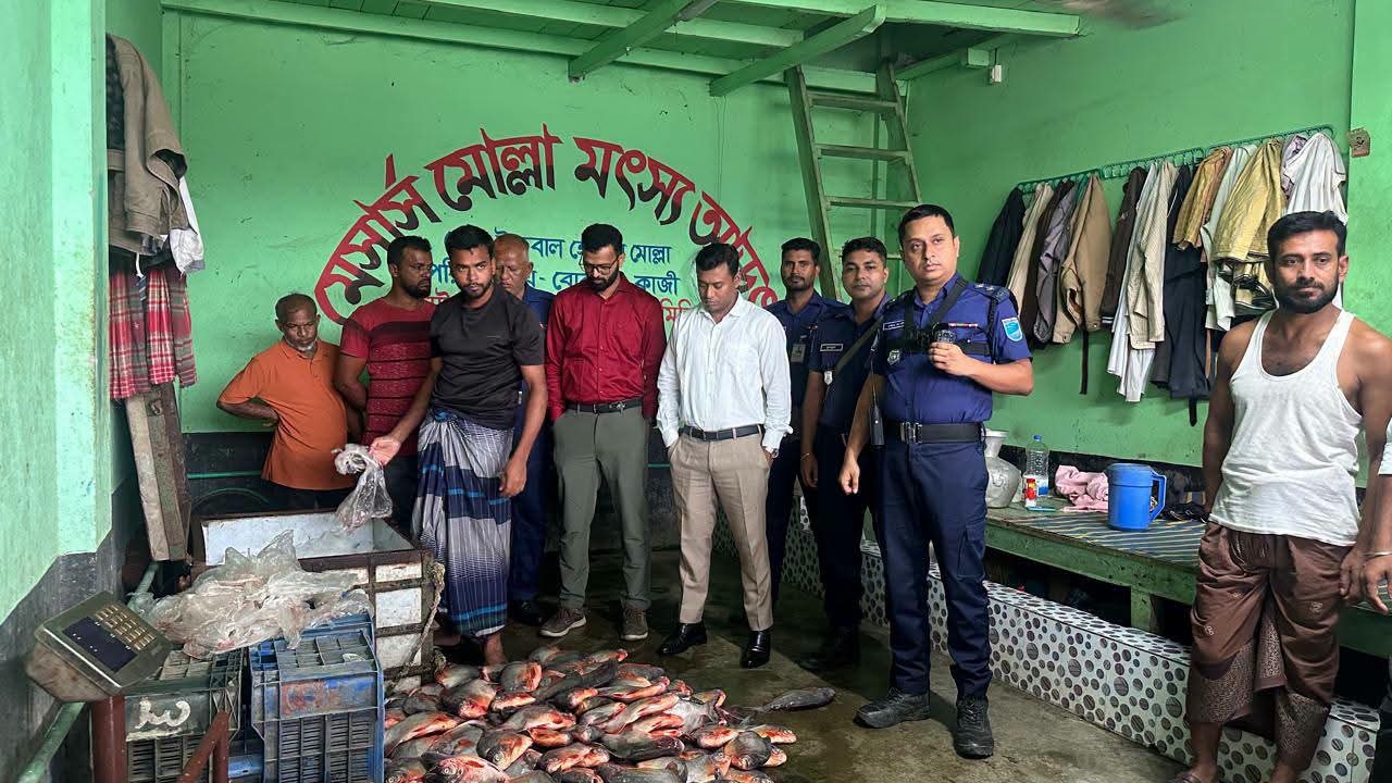 গোপালগঞ্জে ১৭০ কেজি নিষিদ্ধ পিরানহা জব্দ, আড়তদারকে ৬০ হাজার টাকা জরিমানা