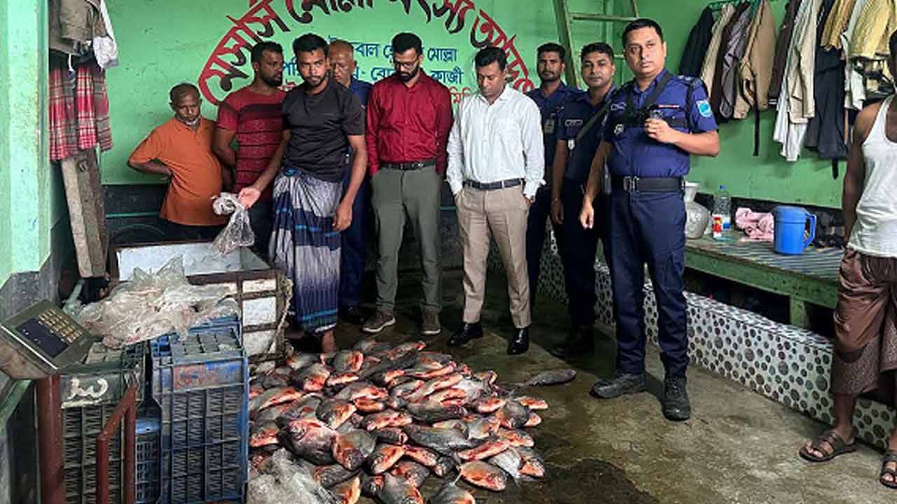 গোপালগঞ্জে ১৭০ কেজি নিষিদ্ধ পিরানহা জব্দ