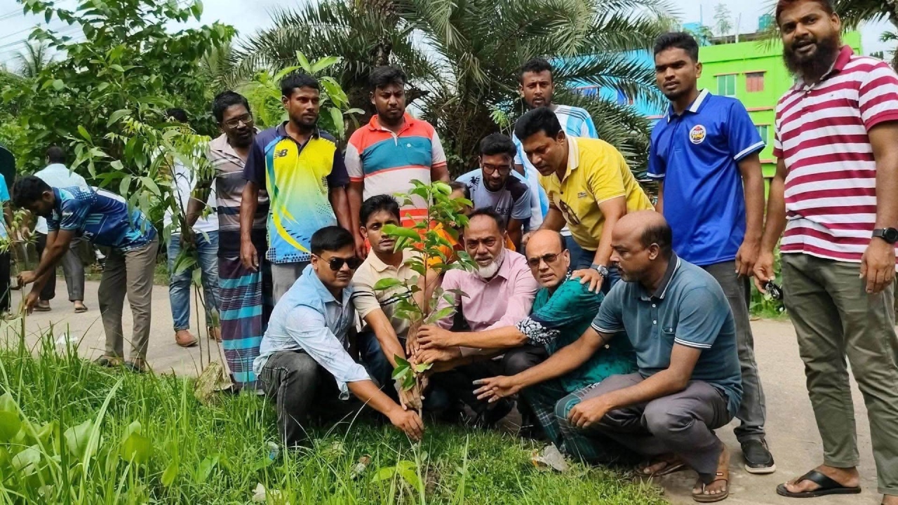 জুলাই আন্দোলনে নিহত ৭৩৪ নেতাকর্মীর স্মরণে পিরোজপুরে বৃক্ষরোপণ