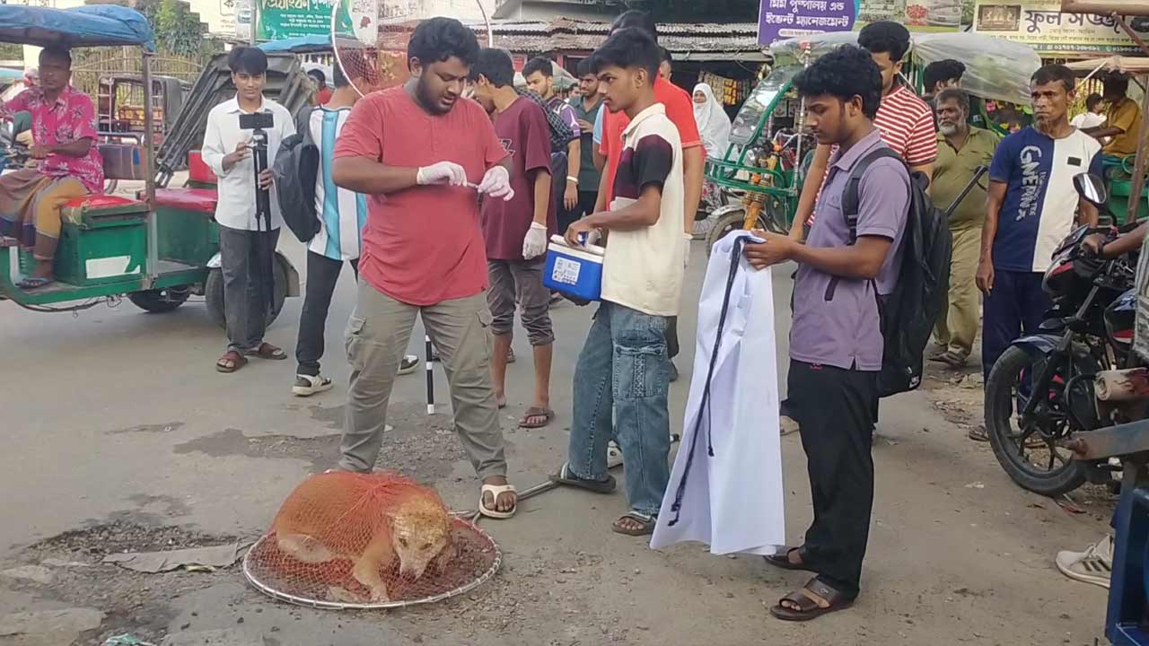 দেশ টিভি