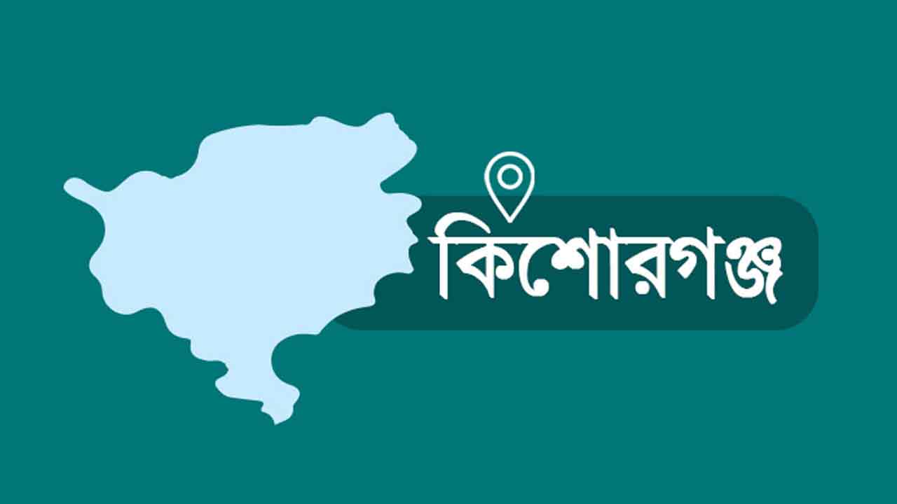 মিঠামইনে পুকুরে ডুবে দুই ভাই-বোনের মৃত্যু