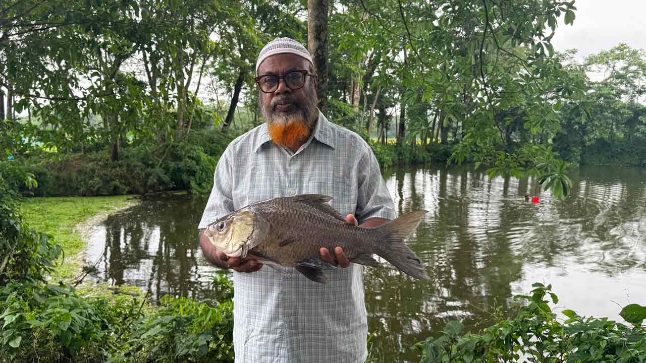 ছবি দেশ টিভি