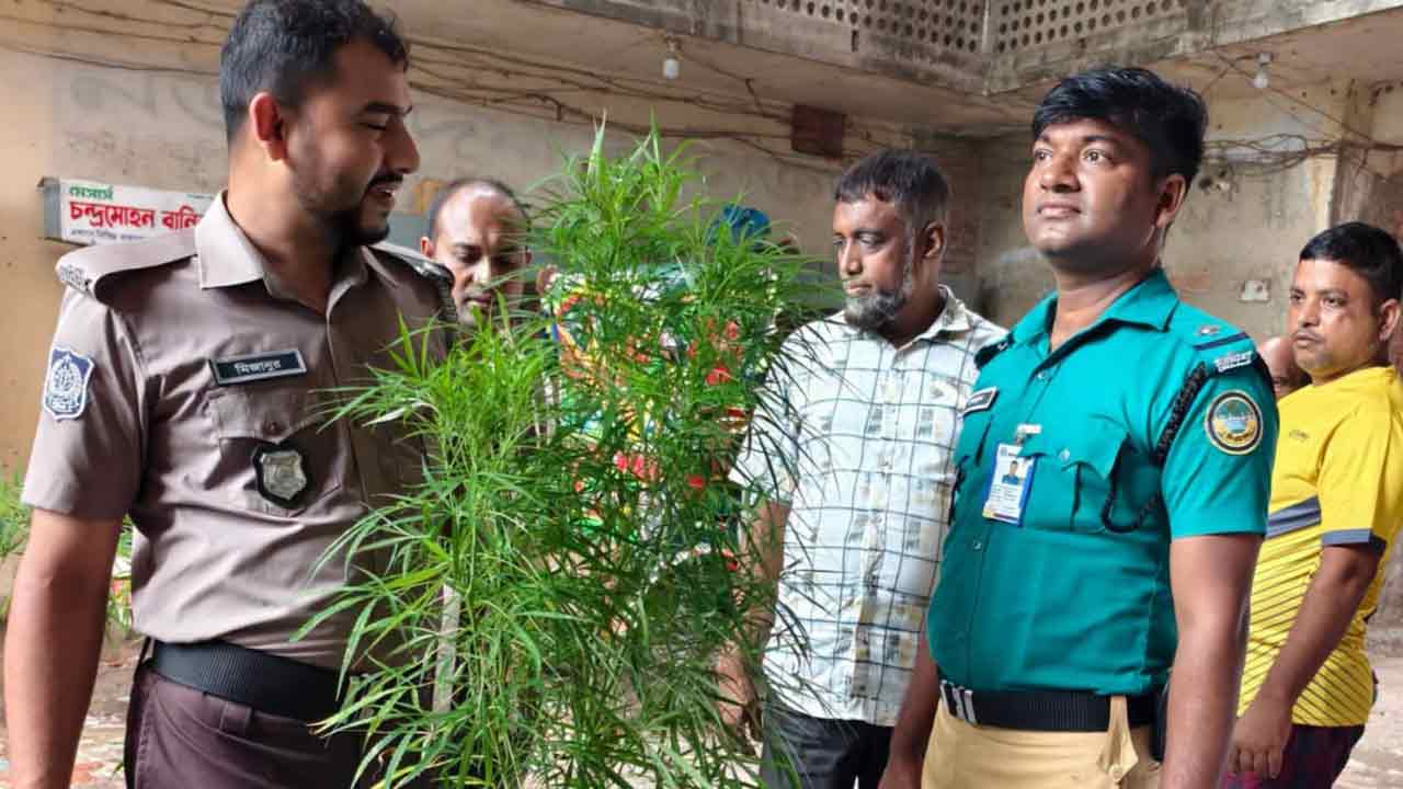 ছবি দেশ টিভি