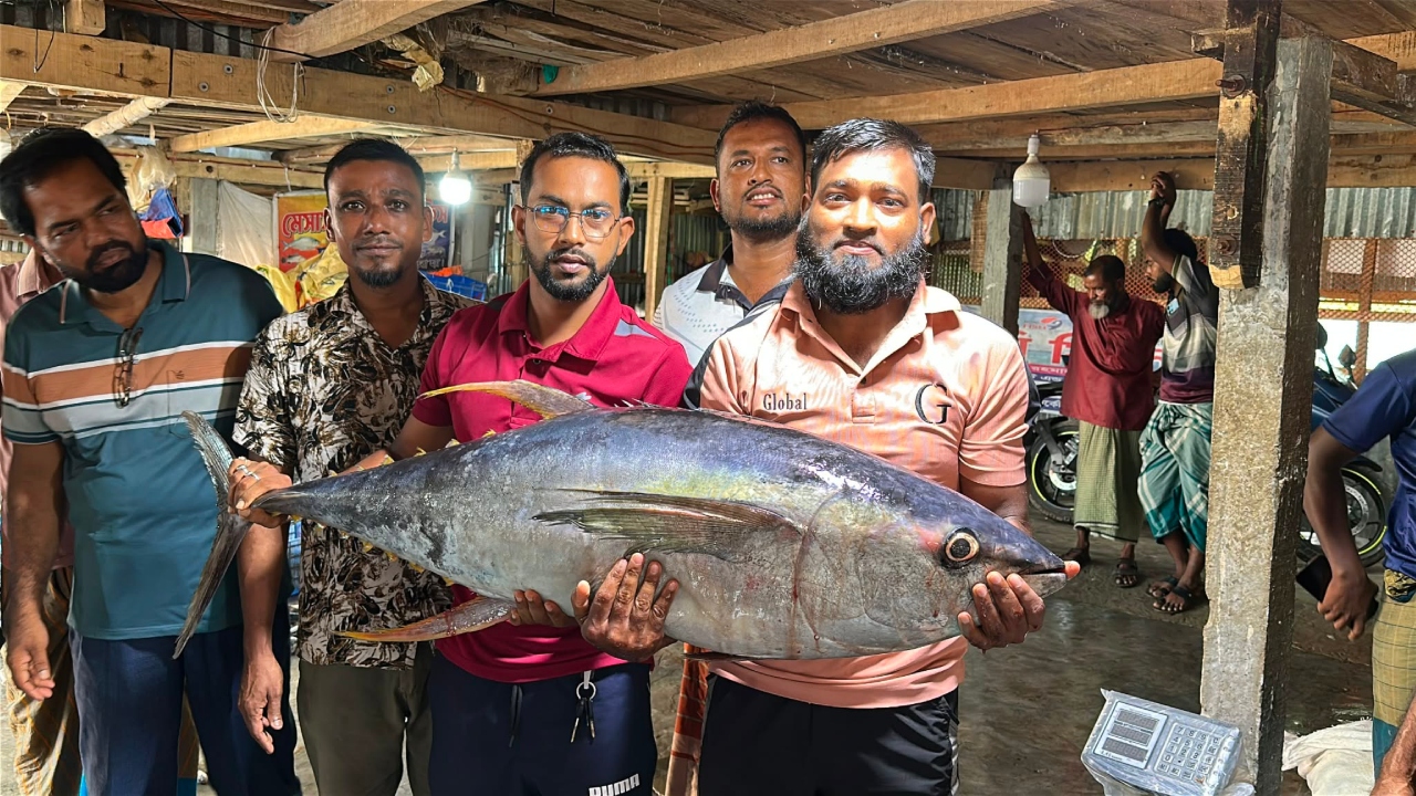 ছবি: দেশ টিভি