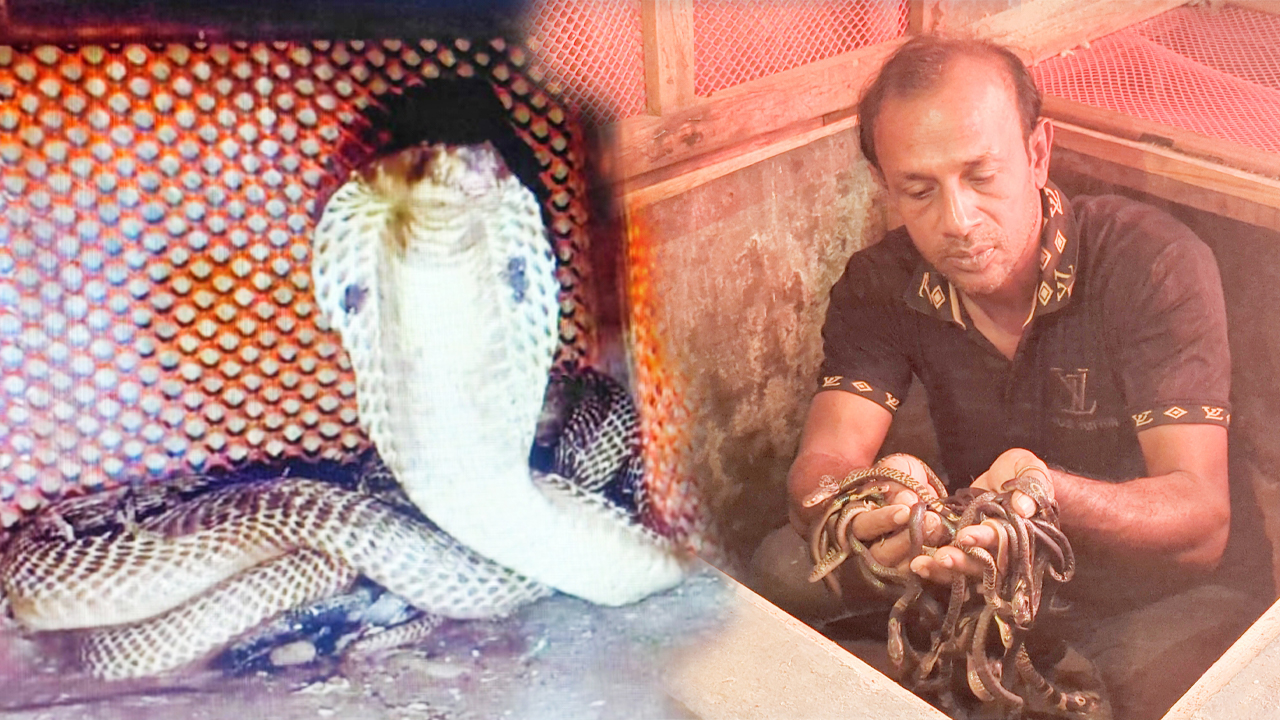 ছবি দেশ টিভি