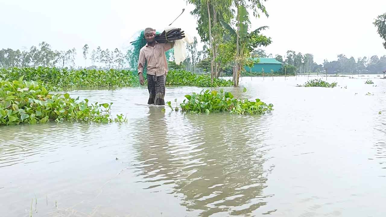 ছবি: দেশ টিভি
