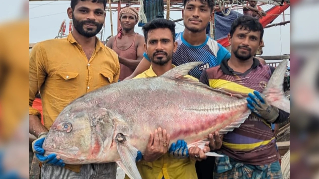 ছবি: দেশ টিভি