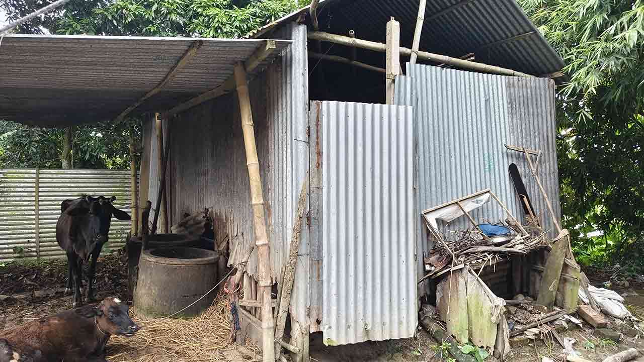 ছবি: দেশ টিভি