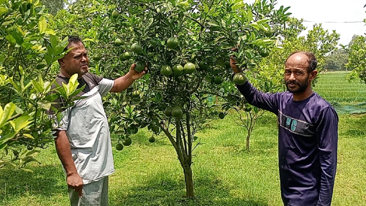 ছবি: দেশ টিভি