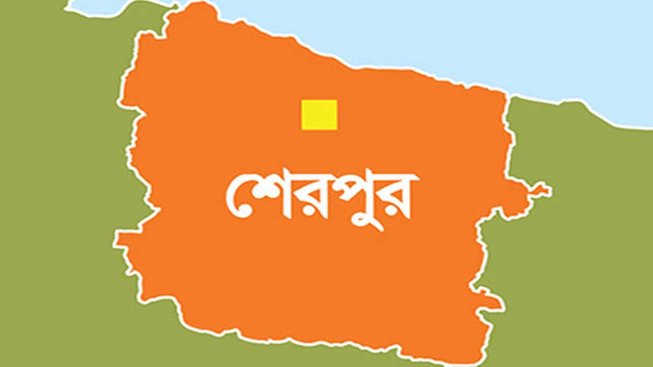 শেরপুরে মায়ের কোল থেকে পড়ে শিশুর মৃত্যু