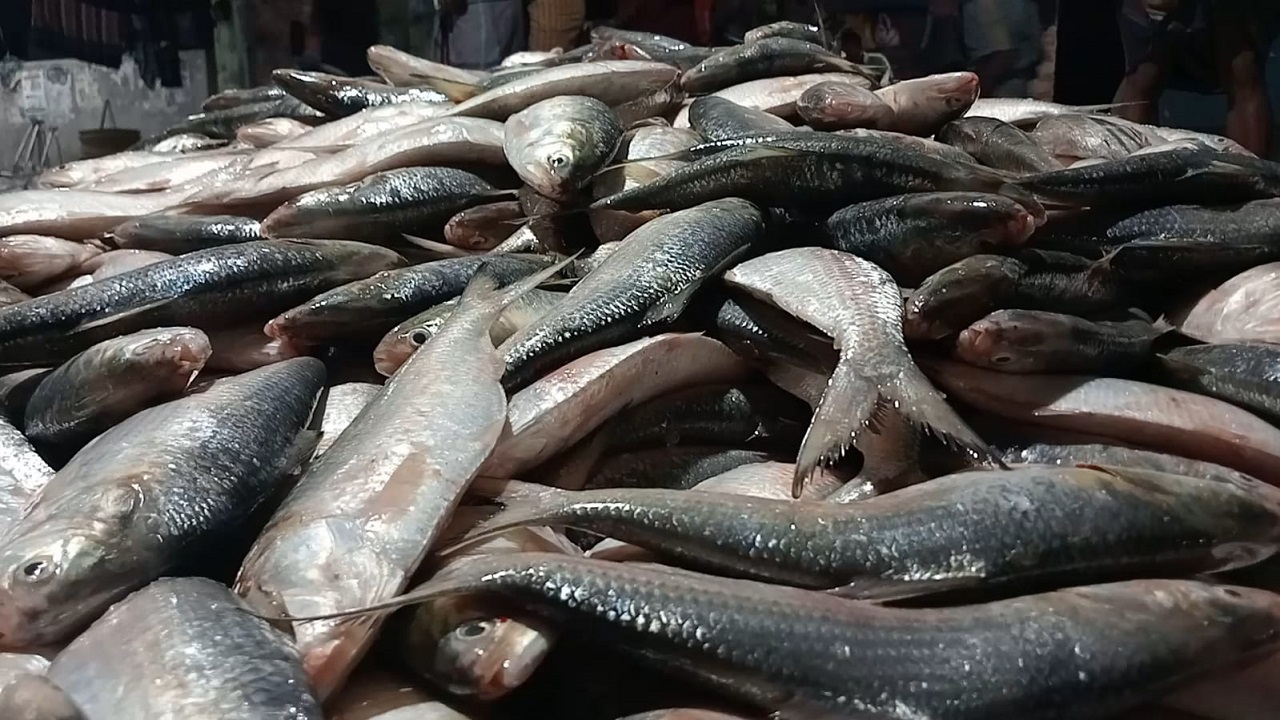 ছবি: দেশ টিভি