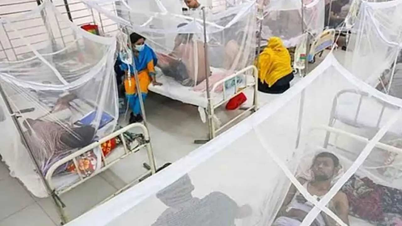 ডেঙ্গুতে আরও ২ জনের মৃত্যু, হাসপাতালে ভর্তি ৬৭২