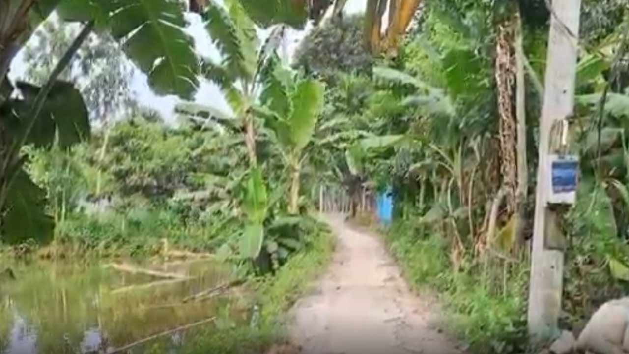 গাইবান্ধায় সরকারি রাস্তা দখলের অভিযোগ