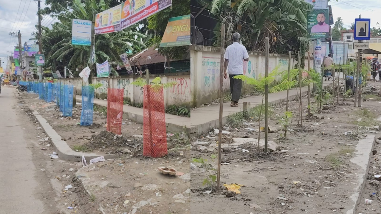 ছবি: দেশ টিভি