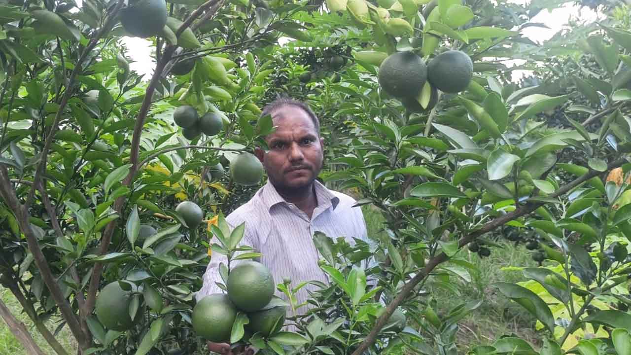 ছবি: দেশ টিভি