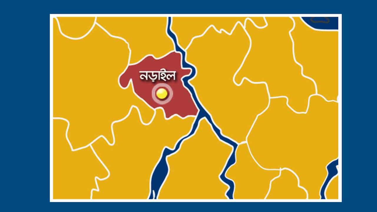 নড়াইলে ভ্যানের চাপায় শিশুর মৃত্যু