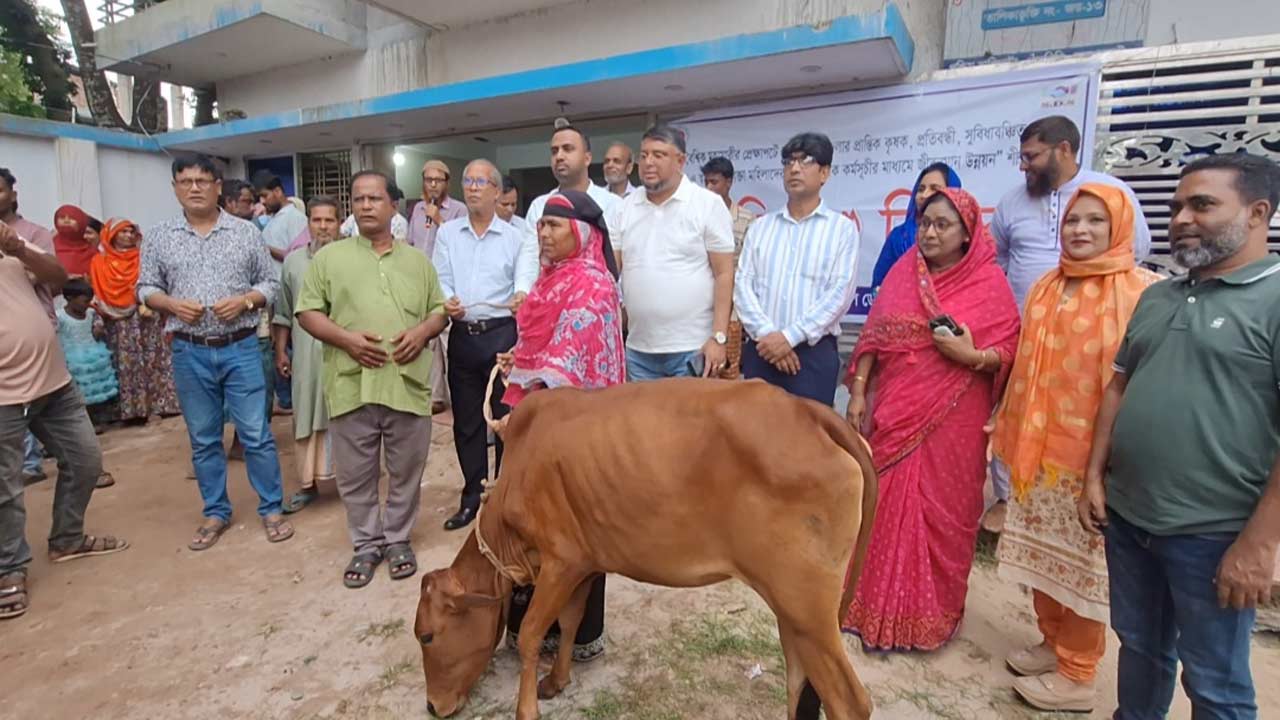 দেশ টিভি