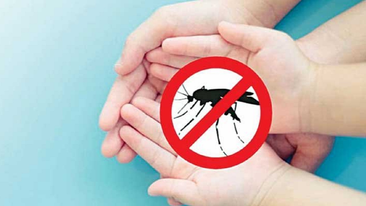 ডেঙ্গুতে ২ জনের মৃত্যু, নতুন ভর্তি ৭৩০